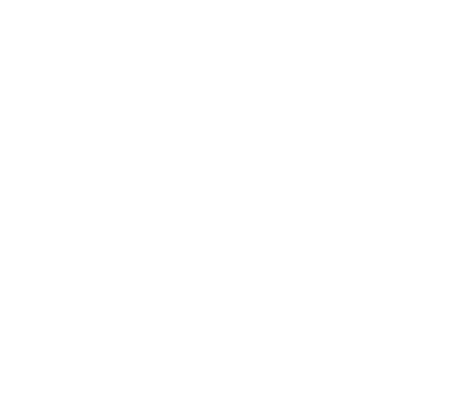 Twitter icon