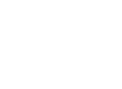Button Icon